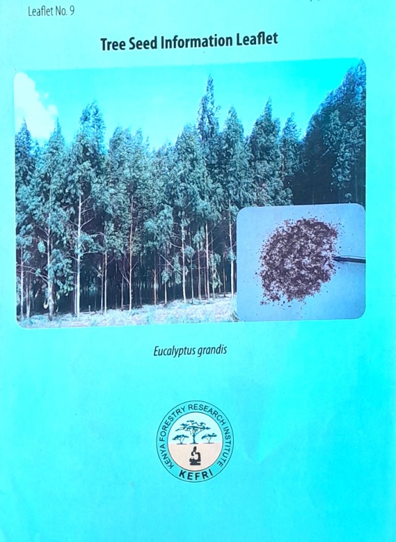 Eucalyptus grandis tree seed information leaflet by KEFRI